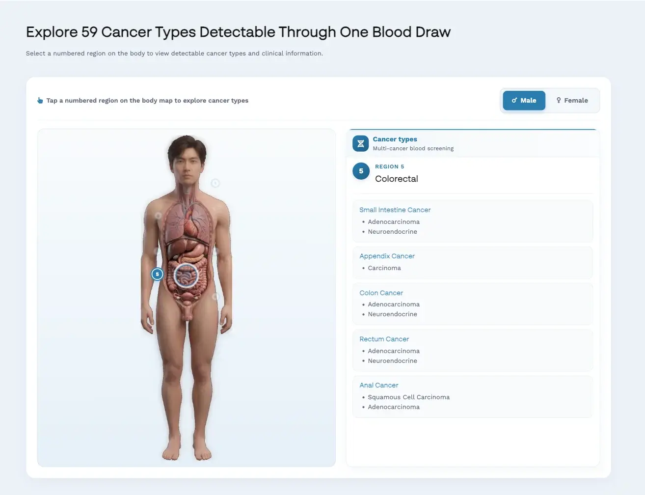 MedCare Clinics cancer blood test page with an interactive body map for exploring detectable cancer types