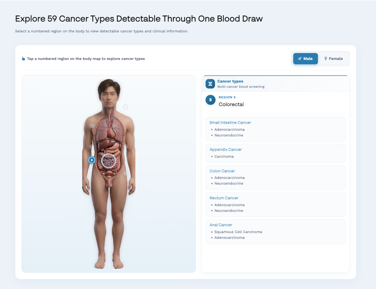 MedCare Clinics blood test page showing an interactive body map of detectable cancer types